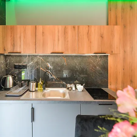 Sloneczne Wzgorze Apartment Zator