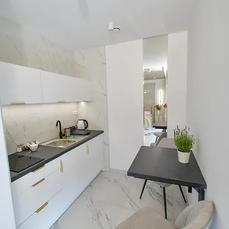 Sloneczne Wzgorze Apartment Zator