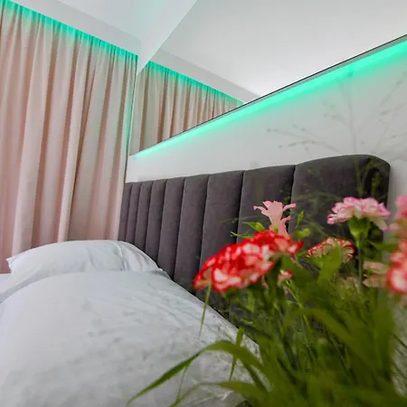 Sloneczne Wzgorze Apartment Zator