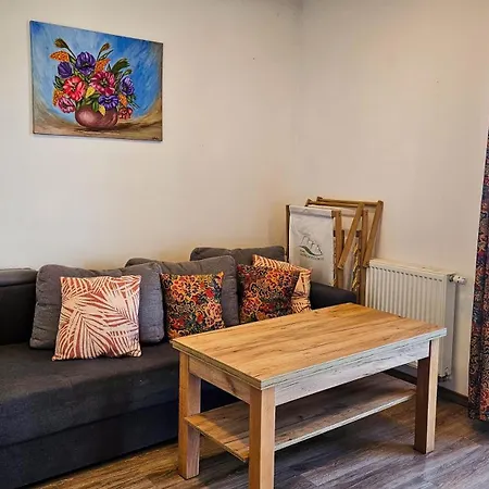 Sloneczne Wzgorze Apartment *