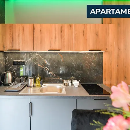 Sloneczne Wzgorze Apartment Zator