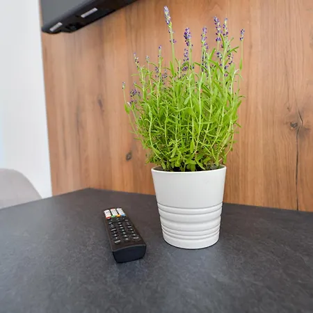 Sloneczne Wzgorze Zator