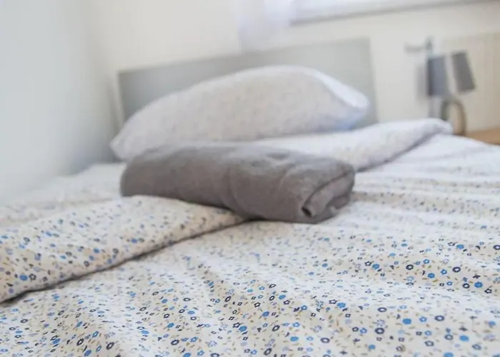 Sloneczne Wzgorze Apartment Zator